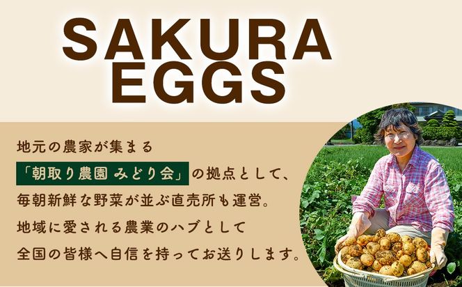【定期便9ヵ月】純国産鶏さくらちゃんが産んだ桜色のさくら玉子 五分咲き（Mサイズ）30個 ｜ 卵 鶏卵 たまご タマゴ 生卵 たまごかけご飯 濃厚 甘み 国産