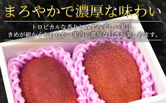 ＜宮崎県産 完熟マンゴー B等級 B4Lサイズ×2玉（合計約1kg）＞2025年4月下旬～2025年6月下旬迄に順次出荷【 完熟マンゴー 完熟 マンゴー フルーツ 果物 くだもの おいしい 美味しい 甘い あまい ご家庭用 家庭用　ご褒美 】【b0911_ja】