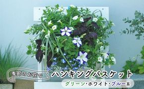 花 季節のお花でハンキングバスケット グリーン・ホワイト・ブルー系 植物 ガーデニング ガーデン インテリア 