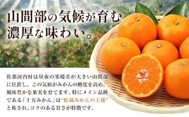 訳あり 熟成みかん 1.9kg or 4.5kg or 10kg 《1月上旬-3月上旬頃出荷》徳島 柑橘 ミカン 蜜柑 フルーツ 青果物 大容量 お試し 徳島県 佐那河内村---sanagouchi_lcl_40_1900g---