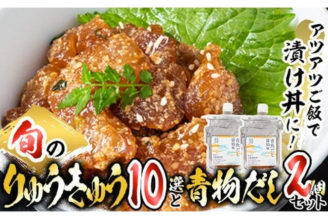 大将の今日のおすすめ！「旬の鮮魚りゅうきゅう10選と青物だし2個セット」詰め合わせ 魚 海鮮 簡単 りゅうきゅう 漬け丼 お茶漬け だし茶漬け 醤油 調味料 加工品 【GA001】【ポートラインサービス (有)】