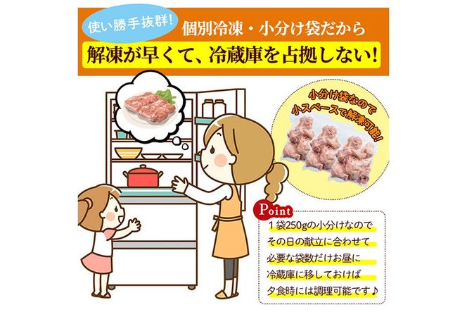 ＜先行予約受付中！2025年6月中に発送予定＞鶏肉 もも肉 小分け 個別凍結(計3kg・250g×12P)お肉 鳥肉 とり肉 切身 カット済 個別凍結 IQFカット 国産 宮崎県産 唐揚げ から揚げ からあげ 冷凍 便利【NK-02】【株式会社南九フーズ】