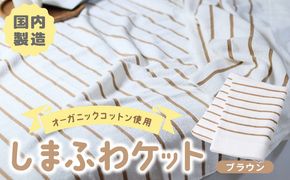 099H3816 しまふわケット 1枚 ブラウン【国産 日本製 タオルケット シングル 寝具 オーガニックコットン 綿100%】