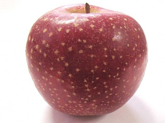 風丸農場 千雪りんごと赤いりんごのジュース 無添加 青森県産 180ml 各4本 計8本セット 飲料類 果汁飲料 りんごジュース 