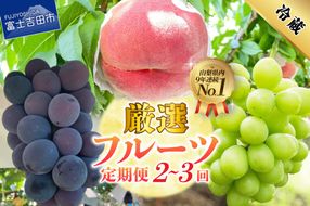 【2026年発送】【定期便】 厳選 フルーツ定期便 【選べる定期便 3回 2回】 厳選 フルーツ 定期便 シャインマスカット 桃 黒ぶどう 果物 フルーツ くだもの 旬 もも ぶどう 山梨 富士吉田