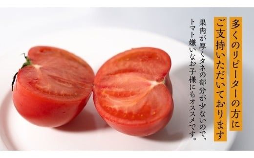 フルーツトマト 大箱 約2.6kg × 1箱 【大玉 20～35玉/1箱】 2026年産 糖度7度 以上 野菜 フルーツ トマト とまと [AF072ci]