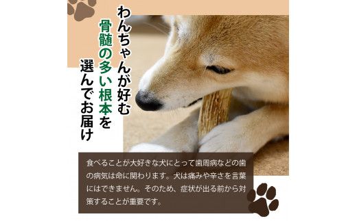 犬が喜ぶおやつ♪ 鹿角 1本 選べるサイズ（S・M・L）【犬 犬のおやつ ペット おもちゃ シカ ツノ 鹿の角 しか つの 鹿 角】