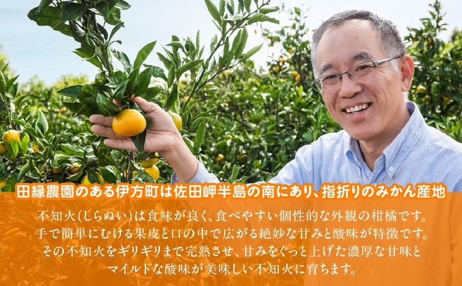 【先行予約】【家庭用】不知火 10kg ※離島への配送不可 （2027年2月10日より順次発送） IKTA036