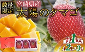数量限定【2026年発送】＜宮崎県産 太陽のタマゴ A等級 2Lサイズ×3玉（合計約1kg）＞2026年4月上旬～6月末迄に順次出荷【 果物 くだもの フルーツ 太陽のタマゴ 太陽のたまご 完熟マンゴー ジューシー 果汁 かんじゅく 期間限定 先行予約 ギフト 贈答用 贈答品 贈り物】【a0694_ja】