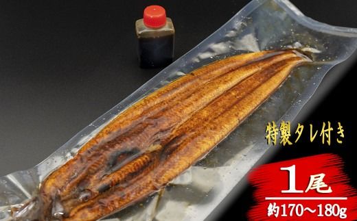 高知名物 藁焼き かつおのタタキ うなぎ蒲焼き 定期便 91-26 【高知満喫定期便】厳選!!藁焼きかつおのタタキ 1節と高知県産うなぎの蒲焼き 1尾セット×12回定期便 かつお タタキ 1節 290～350g うなぎ 170～180g 高知グルメ 特製ポン酢 蒲焼きタレ 清流 職人 ふるさと納税 安芸市 高知県