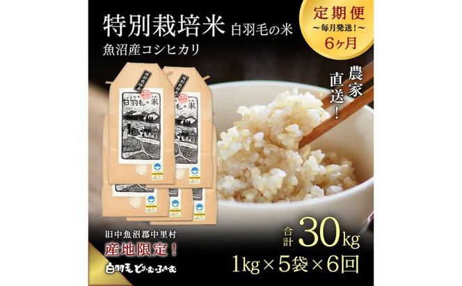 【通年受付】≪令和8年産≫【定期便／全6回】農家直送！魚沼産コシヒカリ特別栽培「白羽毛の米」精米5kg(1kg×5袋)×6回 計30kg お米