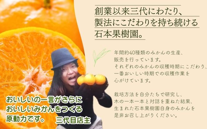 【訳あり】石本果樹園の美味しい 温州みかん 約4.5kg 約35～40玉前後【2026年11月初旬から2027年1月下旬に順次発送予定】 / みかん フルーツ くだもの 果物 温州みかん【min020】