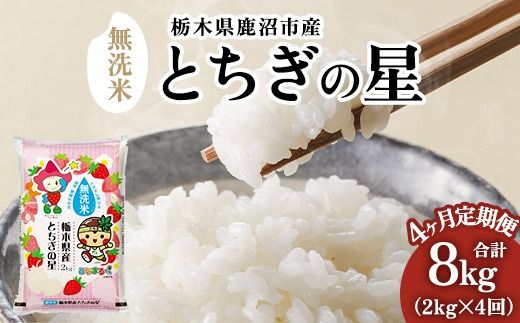 【定期便4ヶ月】栃木県鹿沼市産 とちぎの星 無洗米 令和8年産 2kg ｜ 水稲うるち精米 単一原料米 お米 特A 大粒 甘さ ※沖縄・離島への配送不可