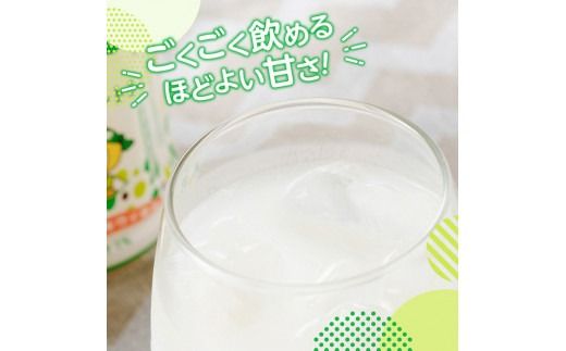 サンA フルッぴーキウイヨーグルト(PET)240ml×48本 【 川南町 フルーツ ヨーグルト キウイ ドリンク 】[D03004]