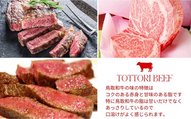 鳥取和牛 サーロインブロック 3kg 312011_FT009