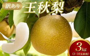 【2027年1月頃発送】【訳あり】王秋梨 3kg（３～10玉前後） 313726_AN130