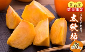 【先行予約】柿 太秋柿 3kg 箱 果物類 フルーツ 果物 果実 デザート おやつ 食後 秋の味覚 旬の果物 季節の味 国産 日本産 