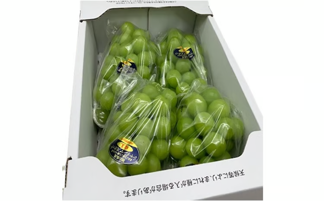 ぶどう 2026年 先行予約 シャイン マスカット 晴王 3～5房 2kg前後 （8月上旬～9月下旬発送分） ブドウ 葡萄 岡山県産 国産 フルーツ 果物 ギフト 果物類 [№5735-1231]