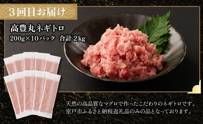 【定期便 全6回】 タカシン水産厳選 高知の海鮮セット 定期便 福袋 海鮮 詰め合わせ タタキ まぐろ マグロ 本まぐろ ネギトロ かつお カツオ 鰹 かつおのたたき カツオタタキ タタキ 魚介 高知 室戸 all!