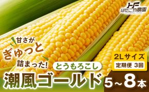 ［定期便・全3回］［夏の味覚］潮風ゴールド 2Lサイズ 5～8本 1セット とうもろこし トウモロコシ ゴールドラッシュ 黄色 潮風ゴールド スイートコーン 茹でとうもろこし BBQ 焼き肉 白浜町 304018_ET08