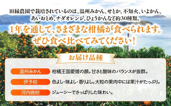 【3ヶ月定期便】田縁農園 3種みかんジュース（みかん いよかん 河内晩柑）セット 全3回 IKTA049
