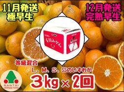 定期便 11・12月発送 有田みかん 2種 食べくらべ 極早生 ＆ 完熟早生 3kg 和歌山 みかん 南泰園 全2回  BS598