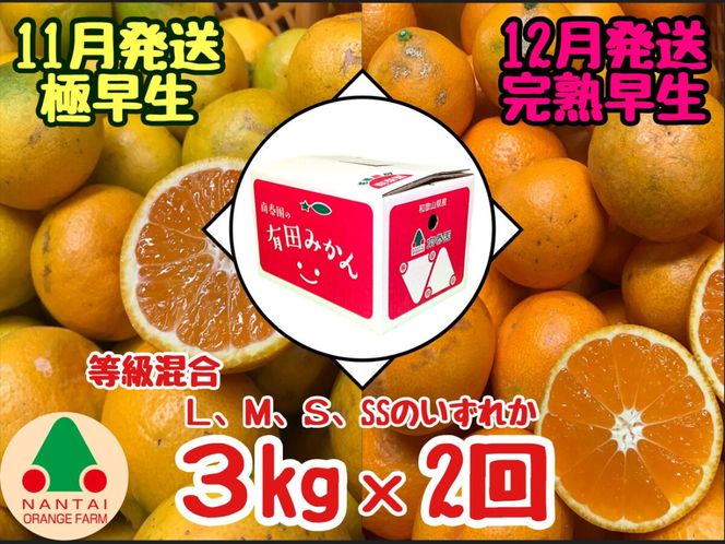 ya̎RLc쒬z 11E12 Lc݂ 2 Hׂ ɑ  n 3kg a̎R ݂ ׉ S2   BS598