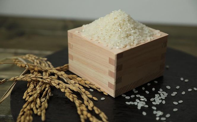 【京都岩倉坂原米作りプロジェクト】京都さかばら 角質ケアハンドクリーム(60g×1本)｜美容 コスメ 人気［ 京都 人気 おすすめ 米 コメ ギフト プレゼント 贈答 お取り寄せ 通販 送料無料 ふるさと納税 ］ 261009_B-GN10