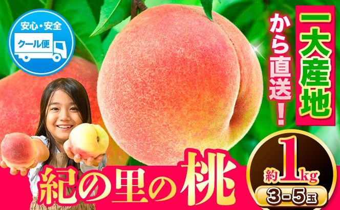 桃 もも【2025年先行予約】和歌山県産 紀の里の桃 約1kg (3-5玉入り)《6月中旬-8月中旬頃出荷》 桃 2025年 先行 桃 先行予約2025 もも2025 白鳳 日川白鳳 八旗白鳳 清水白桃 川中島白桃 つきあかり もも 白鳳 先行予約 もも川中島 もも2025 もも 白鳳 先行予約 もも 先行予約 もも 和歌山 もも---wfn_cwlocal70_6c8c_25_8000_1kg---