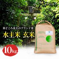 コシヒカリ 玄米 10kg 令和8年産 新米 香川県産 水主米 みずしまい 特別栽培米 こしひかり エコファーマー認定 地域ブランド米 有機肥料 お米 玄米ごはん ご飯 おにぎり 主食 伏流水 良質な土 米 東かがわ市 46312024