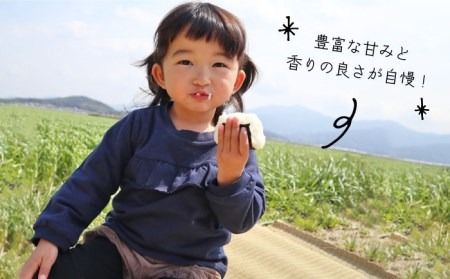 【 全12回 定期便 】米 旋風 ヒノヒカリ 10kg（ 5kg × 2袋 ）《糸島》【百笑屋】 [ABF025]  米 お米 白米 精米 定期便 ひのひかり