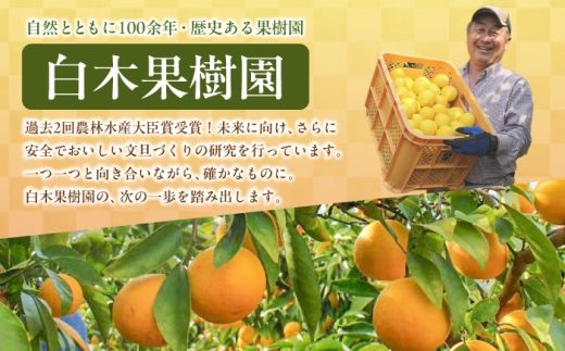 【3回定期便】文旦バラエティ定期便 お気軽コース〈水晶文旦・温室文旦・土佐文旦〉 / 文旦 ぶんたん ブンタン 土佐文旦 水晶文旦 温室文旦 柑橘 フルーツ 果物 くだもの 定期便【白木果樹園】 [BQAI060]