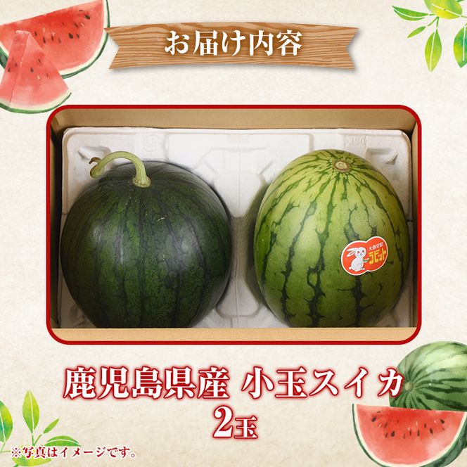 ＜先行予約受付中！2026年5月下旬以降順次発送予定＞鹿児島県産 小玉スイカ(2玉) 国産 果物 スイカ すいか 西瓜 フルーツ スイーツ スムージー ジュース 期間限定【松永青果】akn053-06