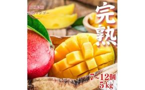 【先行予約】【石垣島産アップルマンゴー】完熟マンゴー 内容量5kg (7～12個入り)《2025年6月末～7月下旬発送》【 産地直送 沖縄 石垣 フルーツ マンゴー アップルマンゴー 完熟マンゴー 】SI-57-1