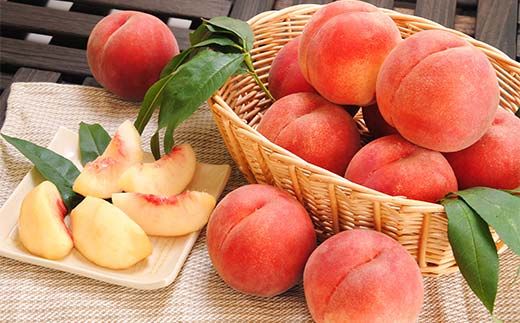 FYN6-224 ≪2026年先行予約≫贈答用 山形県産 おまかせ 白桃 1.4kg(4～7玉)秀品 2026年8月下旬から順次発送 柔らかくなる桃 夏果実 果実 果物 くだもの フルーツ 桃 もも ピーチ 化粧箱 贈答 ギフト プレゼント 産地直送 山形県 西川町 月山