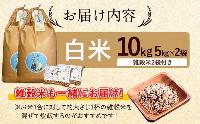 令和7年産 特別栽培米 いのちの壱(白米) 10kg(5kg×2袋) 雑穀米付き《60日以内に出荷予定(土日祝除く)》 熊本県 南阿蘇村 熊本県産 虹色のかば 白米 雑穀米---sms_inci6_60d_r7_33500_h10kg2---