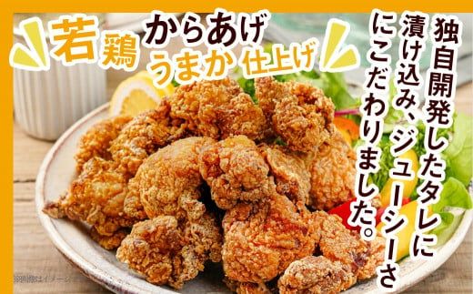 からあげ・チキン南蛮詰め合わせ2kgセット_MJ-4406_(都城市) 電子レンジで簡単調理 4種類のお惣菜 国産鶏塩こうじからあげ (モモ肉)  国産若鶏うまか仕上げ (ムネ肉) チキン南蛮 (特製タルタルソース付) 鶏皮ゴマ甘辛和え おかず