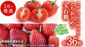 とちおとめ と フルーツミニトマト宝石箱 36粒【1月より発送開始】（茨城県共通返礼品 [いちご]：城里町産　[トマト]：つくばみらい市産） 詰め合わせ 果物 フルーツ 茨城県産 [BI467-NT]