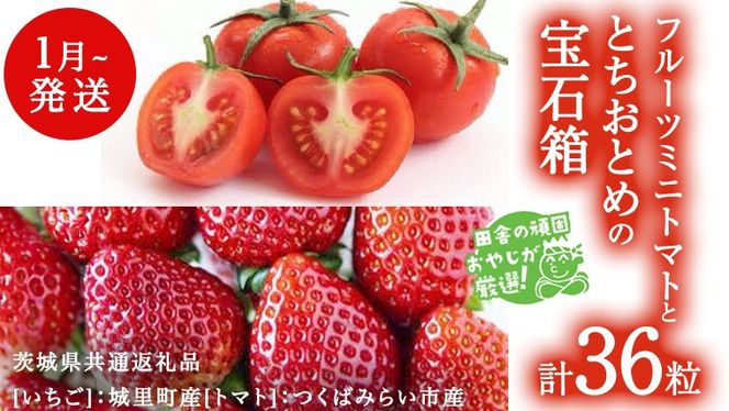 y錧΂݂炢szƂƂ  t[c~jg}gΔ 36y1蔭Jnzi錧ʕԗi []F闢Y@[g}g]F΂݂炢sYj lߍ킹 ʕ t[c 錧Y [BI467-NT]