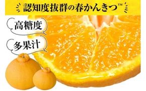 田村産「デコ」不知火[約2.8kg]湯浅町田村産春みかん(果実サイズおまかせ)/紀伊国屋文左衛門本舗　※2027年2月中旬～3月下旬頃に順次発送予定(お届け日指定不可)【kztb493B】