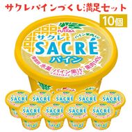 サクレパインづくしセット　10個｜アイス かき氷 シャーベット デザート ※着日指定不可 ※離島への配送不可