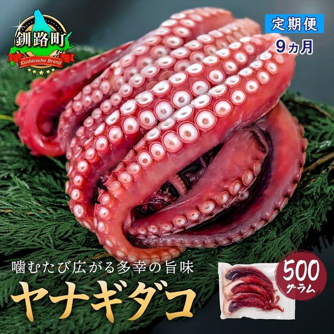 【定期便9ヶ月】ヤナギダコ500g【産地直送】プリプリ食感！釧路町昆布森産 ヤナギダコ｜噛むたびに広がる多幸の旨味 お刺身 鍋 煮物に最適 栄養満点 贈答用 にも最適 漁師直送 鮮度抜群 タコ 蛸 北海道 冷凍 釧路町 釧路超 特産品　121-1260-39