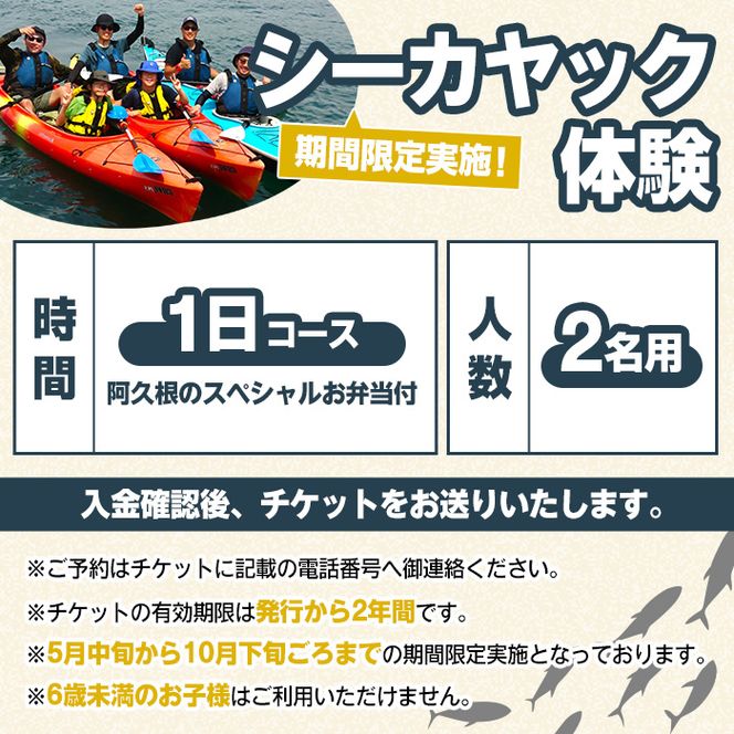 期間限定実施 シーカヤック体験チケット(1日/2名) 阿久根 シーカヤック アウトドア アクティビティ 自然 体験 ツアー チケット マリンスポーツ【パズル】akn098-13