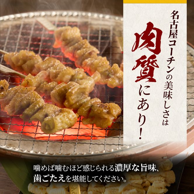 名古屋コーチン焼鳥　皮串20本セット［001T10］