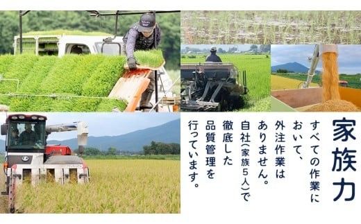 【 選べる お届け回数 】コシヒカリ 精米 10kg 令和7年産 米 お米 コメ 白米 こしひかり 茨城県 新生活 応援 定期便 [EX007ci00]