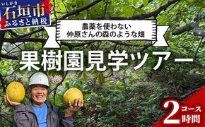 ＜1回1組限定プライベート体験ツアー！＞農薬を使わない、仲原さんの「森のような畑」【 沖縄 石垣島 畑 果樹園 見学 体験 ツアー 食育 野菜 果物 沖縄のいいもの石垣島 】OI-21-1