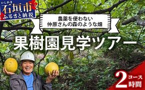 10月〜3月は1番人気の文旦も食べ放題＆お土産付！＜1回1組限定プライベート体験ツアー！＞農薬を使わない、仲原さんの「森のような畑」【 沖縄 石垣島 畑 果樹園 見学 体験 ツアー 食育 野菜 果物 沖縄のいいもの石垣島 】OI-21-1