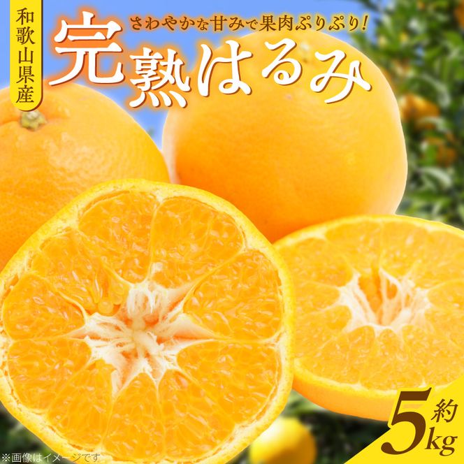 G7056_【2027年先行予約】果肉ぷりぷり! 完熟 はるみ 5kg