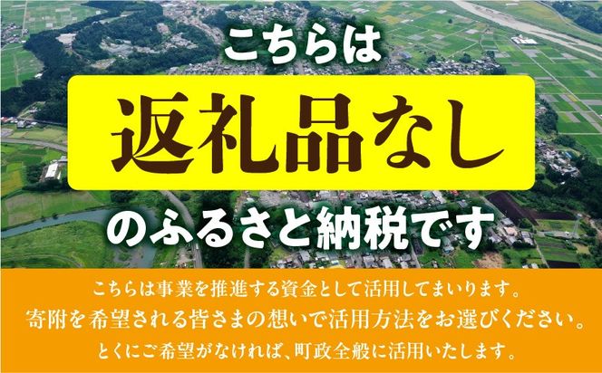 寄附のみの応援受付(返礼品はございません) 寄附額1,000円