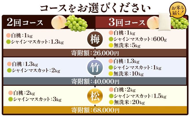 フルーツ 厳選 晴れの国定期便 シャインマスカット 白桃 米 無洗米 2回 3回 お届け 定期便 《ページ内記載の時期に発送》 果物 マスカット 桃 岡山県 笠岡市---kasaoka_zsytei_356_ume2---